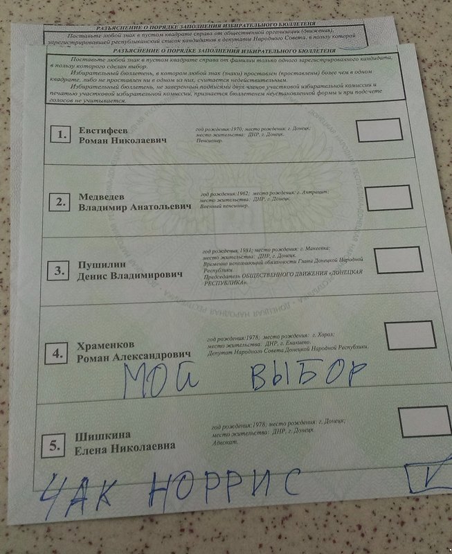 На выборах в Донецке голосуют за Чака Норриса, фото-2