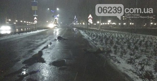 В Покровске автомобиль насмерть сбил двух человек на пешеходном переходе, фото-3