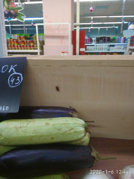 «Супермаркет. Прусаки по овощам бегают»: жители Макеевки шокированы антисанитарией, фото-2