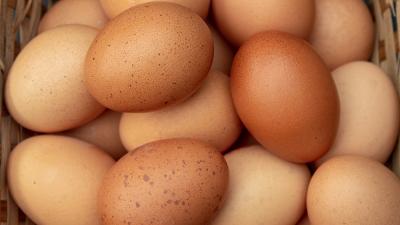 Иллюстративное фото из открытых источников
