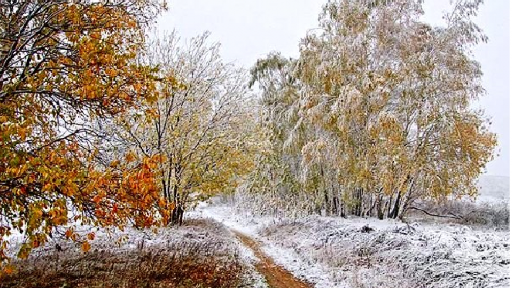 Приходит октябрь. Первый утренник серебряный Мороз Бунин. Снег в октябре. Покров первый снег. Последние дни осени природы.