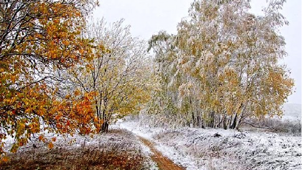 Открытки поздняя осень. Первый утренник серебряный Мороз Бунин. Снег в октябре. Покров первый снег. Последние дни осени природы.