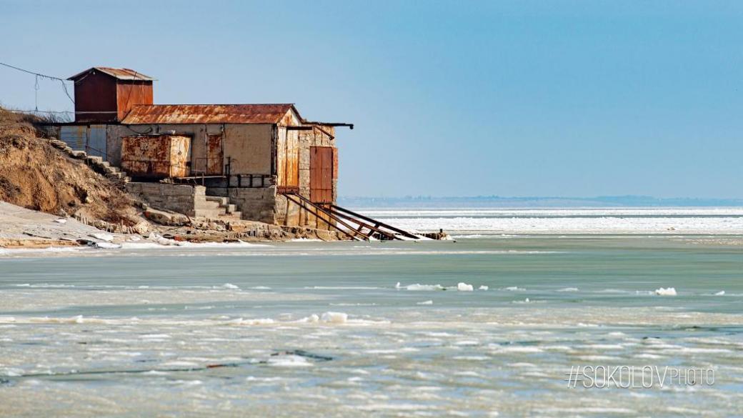 Осетр азовское море фото