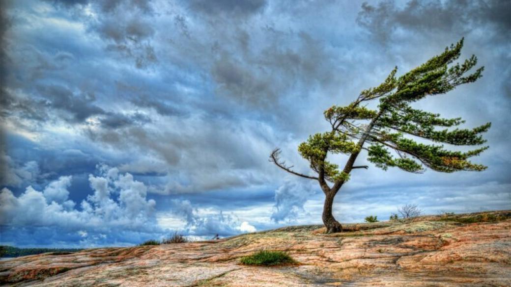 Иллюстративное фото из открытых источников